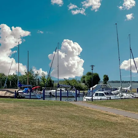 Sonnenbirke * Fuhlendorf (Mecklenburg-Vorpommern)